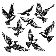Isolated Vector Set of Sketchy Flying Birds Silhouette