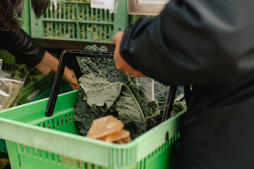 Close up of hand with a vegetables and greens in shopping basket on the local Farmers market....
