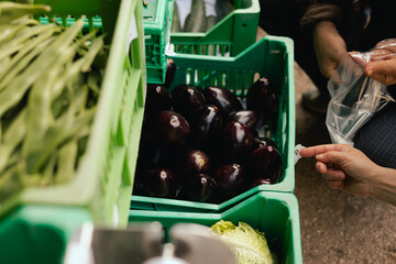 Close up of hand with a vegetables and greens in polyethylene bag on the local Farmers market....