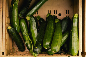 Fresh vegetables at small local urban market. Organic produce on sale at outdoor farmer market. Selling fresh crops and veggies harvest. European urban setting. Close up. Part of the series