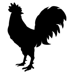 Vector silhouette of a rooster. Rural bird. Isolated element on transparent