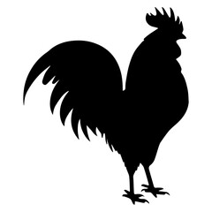 Vector silhouette of a rooster. Rural bird. Isolated black element