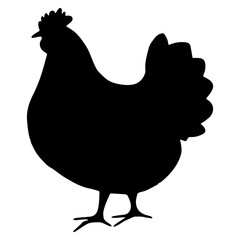 Vector silhouette of chicken. Rural bird. Isolated poultry element