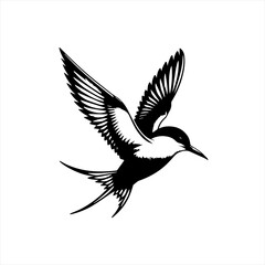 Obraz premium A swallow in flight