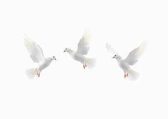 Obraz premium Three white doves in mid-flight with spread wings on a clean white background, symbolizing peace, freedom, and purity in a minimalistic and elegant composition
