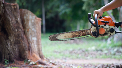 Chainsaw held by man near large tree stump, symbolizing deforestation, logging industry, and environmental impact of human activities.