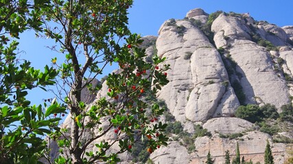 view of the mountains Montserrat Catalonia Spain