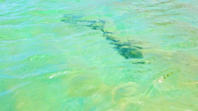 Close up view of emerald green water surface in Atlantic Ocean with sunlight reflections.  Dominican. Punta Cana.