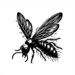 Obraz premium Wasp in flight