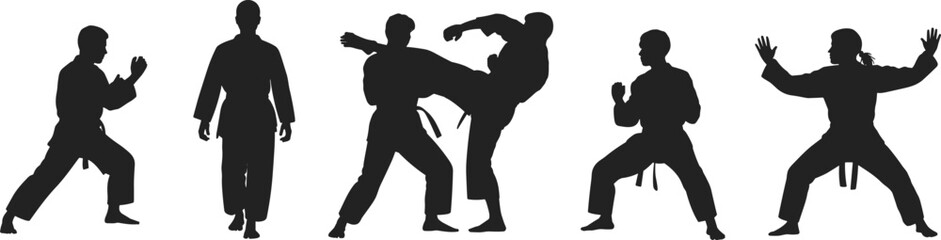 Martial arts practitioners in karate uniforms demonstrating various stances, fighting moves, sparring, kicks, punches, self-defense techniques, training session, discipline