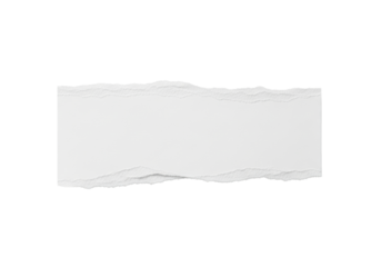 Single plain white paper strip with rough, jagged, ripped edges and distinct fiber texture, isolated on transparent seamless studio background, top-down flat lay, no shadows, macro lens, high