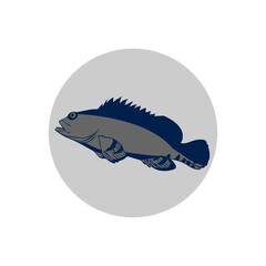 grouper fish icon vectors design