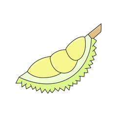 durian slices. fruit theme. tropical fruit. king of fruits. vector illustration