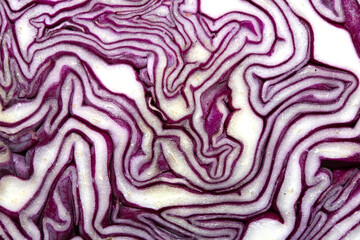 Fototapeta premium Close up of a sliced red cabbage pattern abstract background