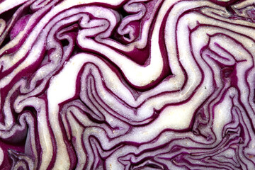 Obraz premium Close up of a sliced red cabbage pattern abstract background