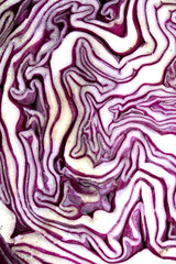 Obraz premium Close up of a sliced red cabbage pattern abstract background