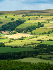landscape of the North York Moors on a sunny summer day