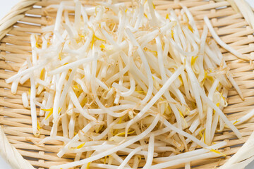 ザルに盛られた新鮮なもやし