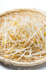 ザルに盛られた新鮮なもやし