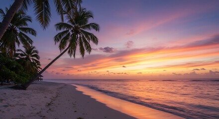 Fototapeta premium Tropical Sunset Beach Paradise: Palm Trees and Ocean