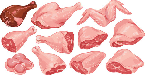 Raw chicken meat assortment, fresh poultry cuts collection, uncooked drumsticks, wings, thighs, chicken parts for cooking, healthy protein source, fresh meat ingredients, food preparation essentials © Best_Design