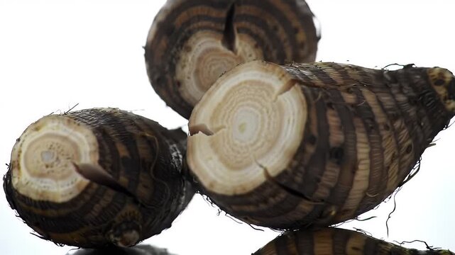 Detailed Close up of Cut Taro Roots Showing Brown and Beige Rings with a Bright Background