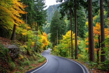 Winding road through a colorful autumn forest