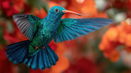 Fototapeta premium Hummingbird in flight tropical garden wildlife photography colorful blooms close-up view nature's beauty