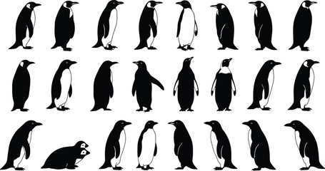 Penguin silhouette vector set, emperor and baby penguins in various poses for wildlife designs, icons, infographics, or educational use
