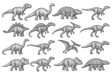 Prehistoric dinosaur species in detailed vintage engraving style, Transparent Background