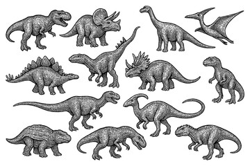 Prehistoric dinosaur species in detailed vintage engraving style, Transparent Background © FriskySloths