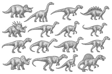 Prehistoric dinosaur species in detailed vintage engraving style, Transparent Background