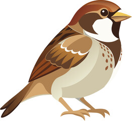 vector illustration of a bird