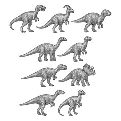 Prehistoric dinosaur species in detailed vintage engraving style, Transparent Background