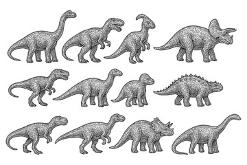 Prehistoric dinosaur species in detailed vintage engraving style, Transparent Background © FriskySloths