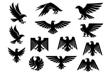 Black hawk and eagle silhouettes with perched and flying poses, Transparent Background