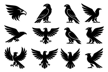 Black hawk and eagle silhouettes with perched and flying poses, Transparent Background