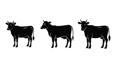Fototapeta premium Three black cow silhouettes standing side by side on white background