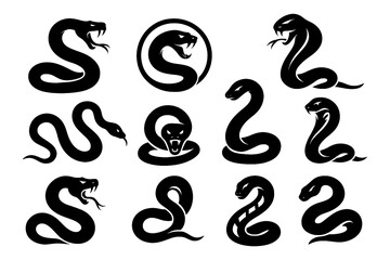 Black snake silhouettes in coiled and striking poses, Transparent Background