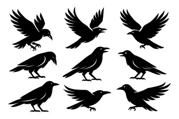 Black raven silhouettes in standing and flying positions, Transparent Background