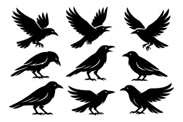 Black raven silhouettes in standing and flying positions, Transparent Background