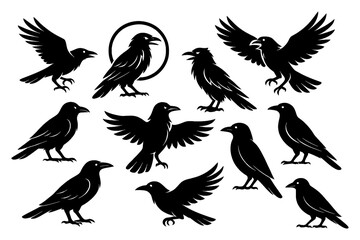 Black raven silhouettes in standing and flying positions, Transparent Background