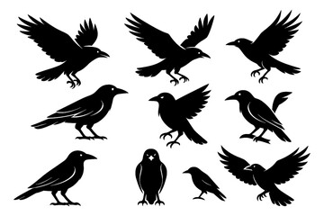 Black raven silhouettes in standing and flying positions, Transparent Background