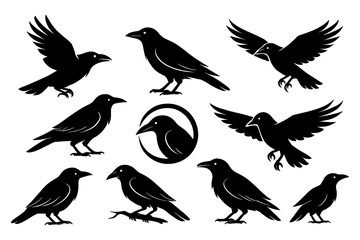 Black raven silhouettes in standing and flying positions, Transparent Background
