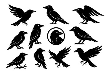 Black raven silhouettes in standing and flying positions, Transparent Background