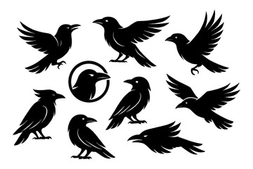 Black raven silhouettes in standing and flying positions, Transparent Background