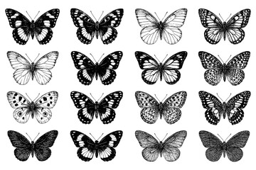 Butterflies with intricate wings in vintage engraving style, Transparent Background