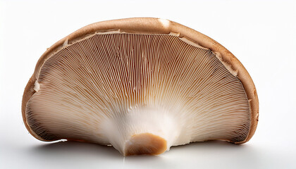 fresh gourmet raw mushroom slice isolated on a white background perfect for a tasty meal or snack