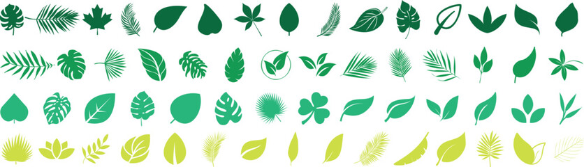 Green leaf icon collection featuring tropical, botanical, and nature inspired design for eco projects, natural product branding, organic themes, environmental graphics. leaf shapes and silhouettes