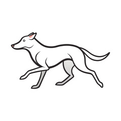 vector illustration of a wolf